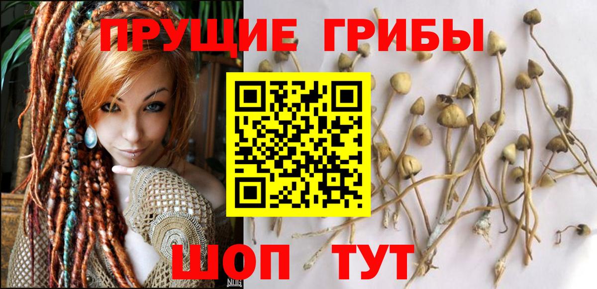 Псилоцибиновые грибы мухоморы Артёмовский