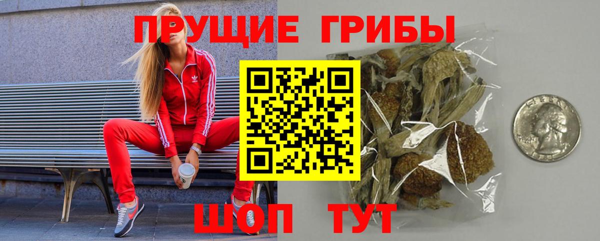 Псилоцибиновые грибы ЛСД  купить закладку  Галлюциногенные грибы Psilocybine cubensis  Артёмовский  Вход с VPN 